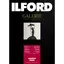 Ilford Galerie Smooth Pearl 100 ark 13x18 310gms