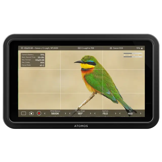 Atomos Shinobi II Monitor 