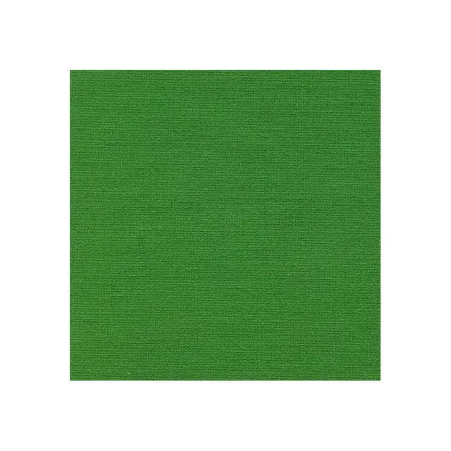 Poly Sheeting Syntetisk Lerret Chroma Key Grønn Fls 620cm 