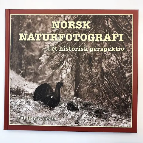 Norsk naturfotografi. P&#229;l Hermansen I et historisk perspektiv.