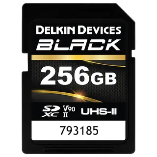 Delkin SDXC Black Rugged UHS-II 256GB 256GB. R300/W250 (V90)