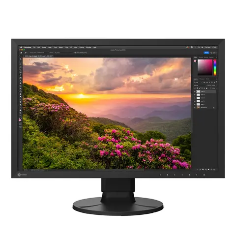 EIZO ColorEdge CS2400S 24&quot; Sort 24&quot; Monitor