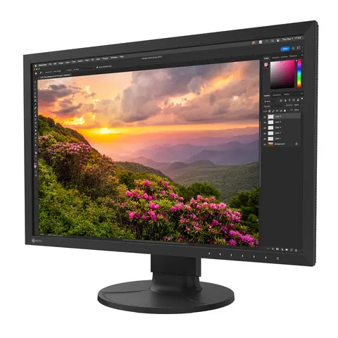 EIZO ColorEdge CS2400S 24&quot; Sort 24&quot; Monitor