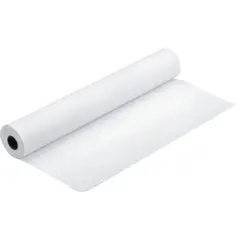 Epson 17" Proofing Paper White Semimatte 30m 250gr