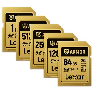 Lexar Armor Gold SDXC 64GB til 1TB UHS-II/U3/IP68. R280/W205 (V60)